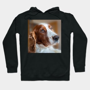 Welsh Springer Spaniel Hoodie